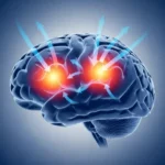 How TMS Transforms Brain Activity