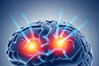How TMS Transforms Brain Activity