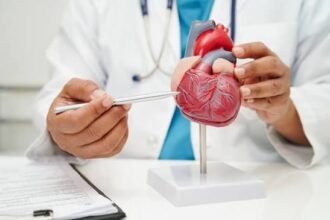 The Intersection of Cardiology and Holistic Health