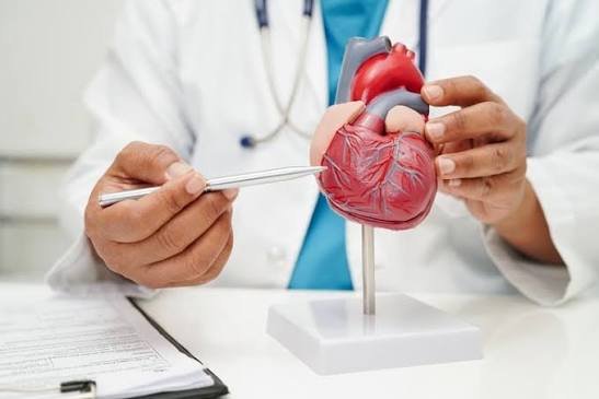 The Intersection of Cardiology and Holistic Health