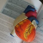 Understanding Heart Disease Risk Factors