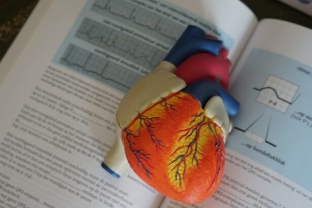 Understanding Heart Disease Risk Factors